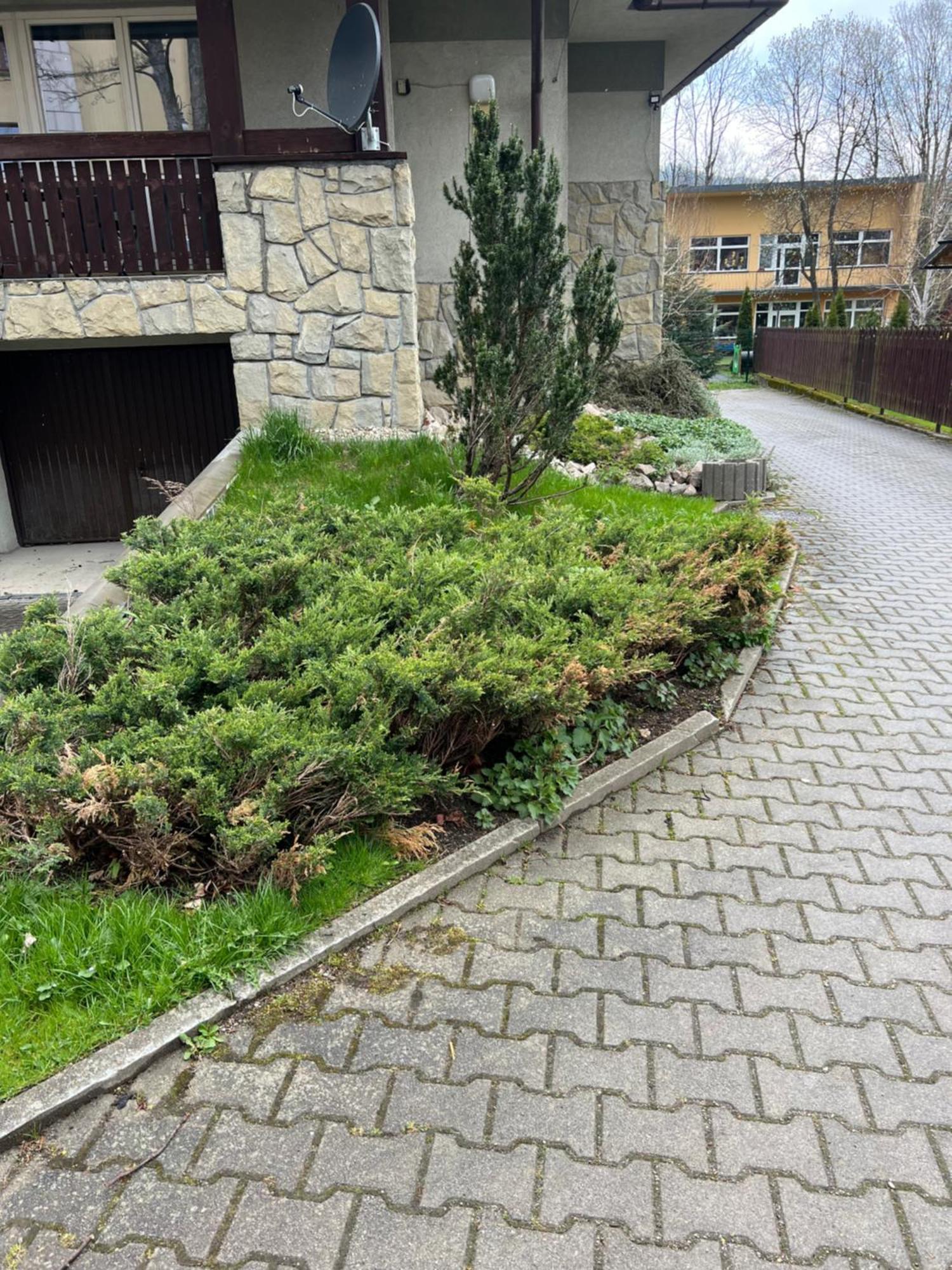 Apartament Sniezka Zakopane Ngoại thất bức ảnh